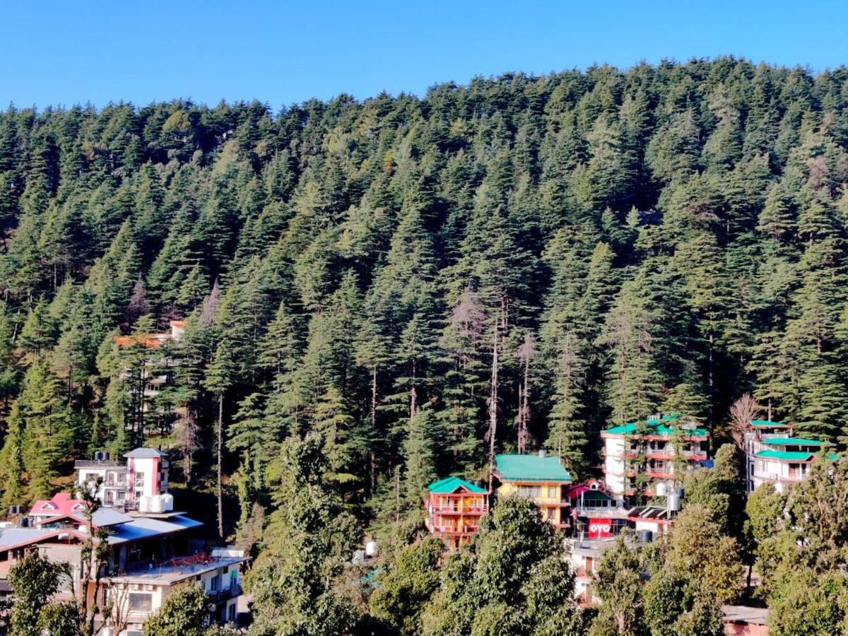 Nomadic Inn Дармсала Экстерьер фото